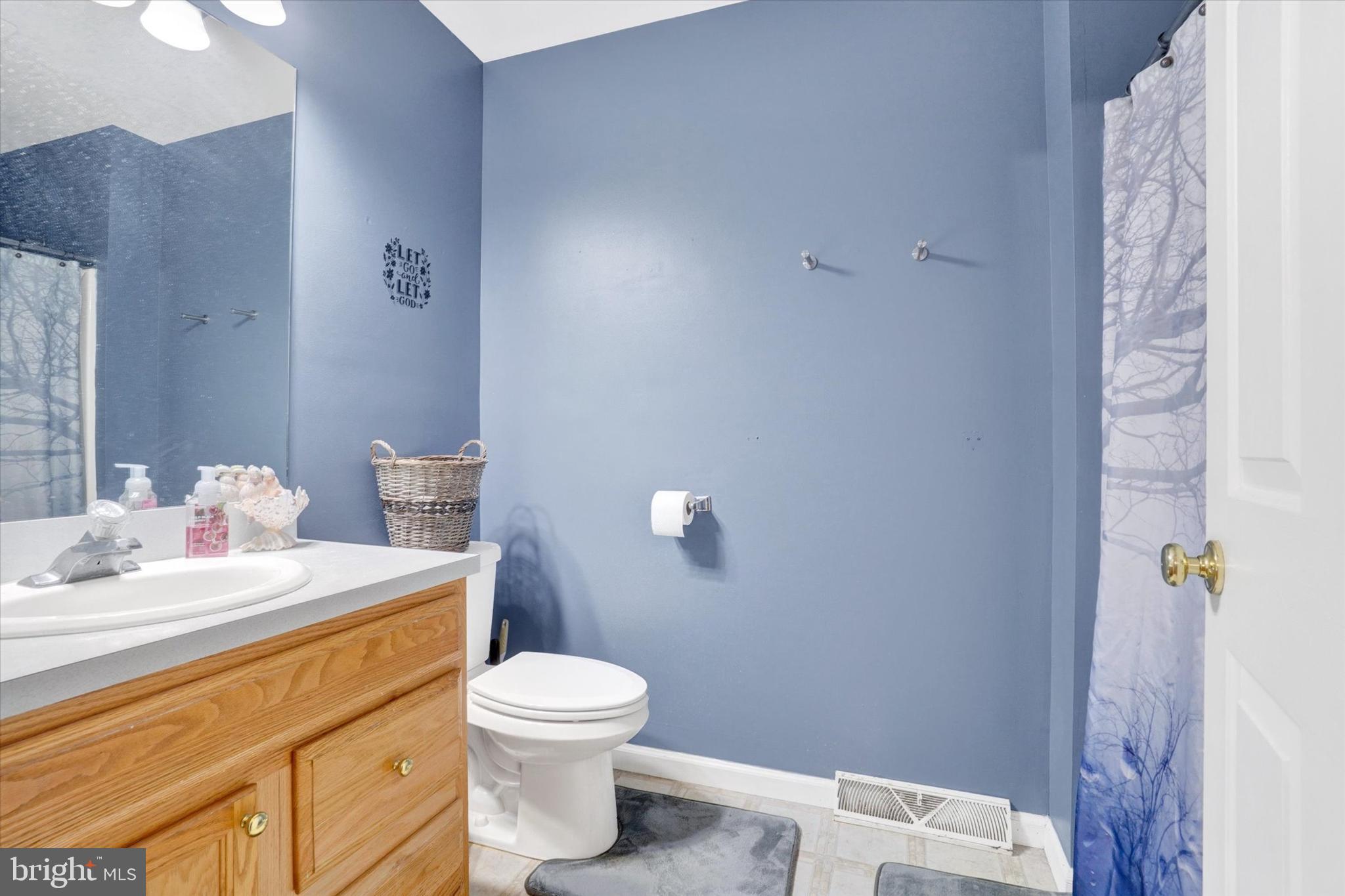 115 Oak Ridge Lane, Unit 115 Dallastown, PA 17313 - Photo 22 of 32 a bathroom with a sink a toilet and a mirror
