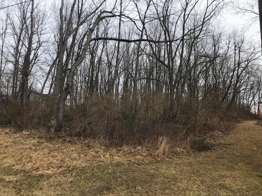 0 Ridgeway Drive Howard, OH 43028 - Photo 3 of 3