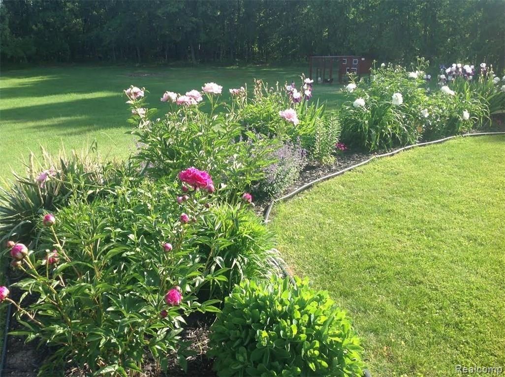925 West Marr Road Howell, MI 48855 - Photo 27 of 35 Garden pic 1.jpg