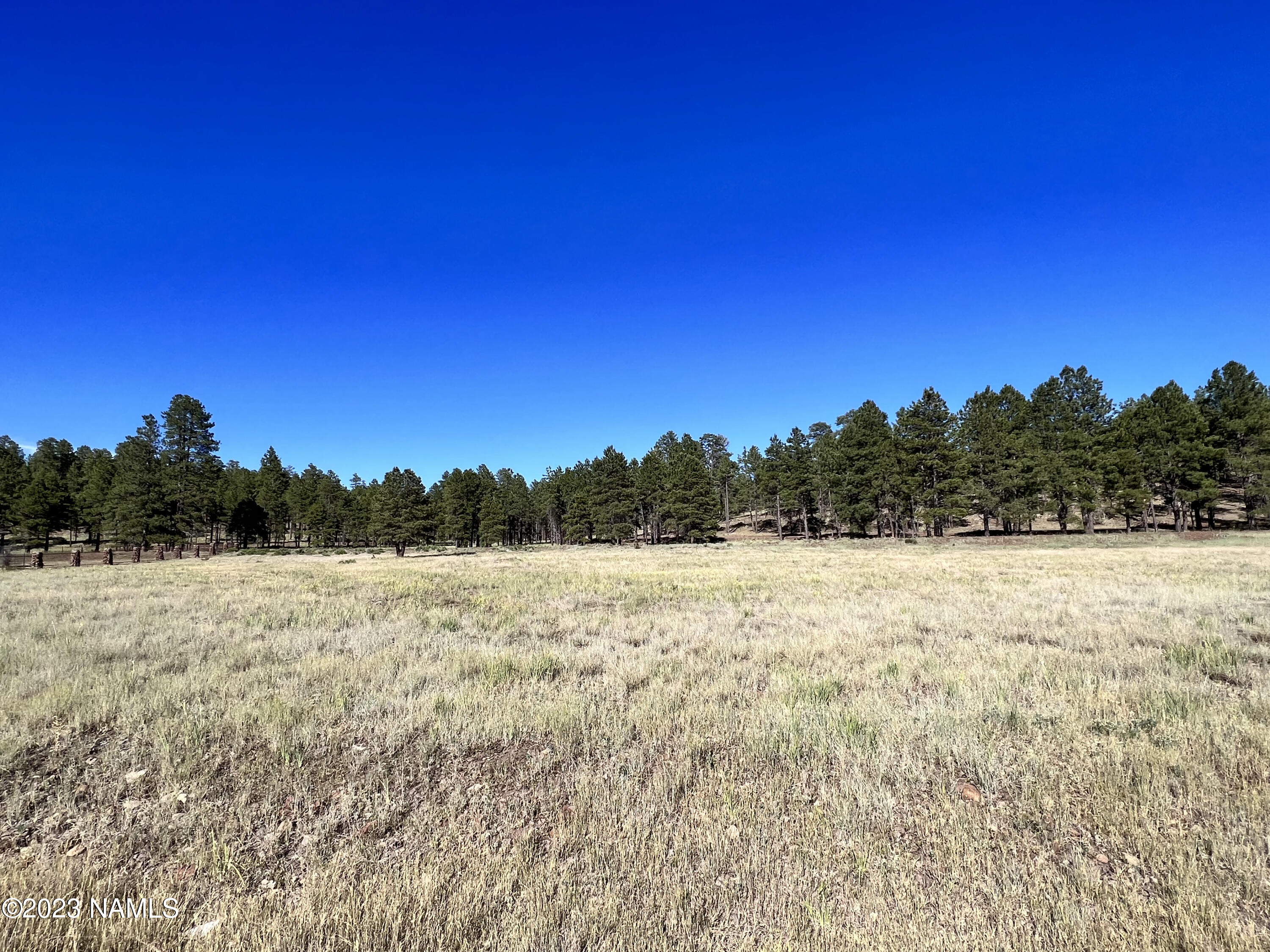 4607 Brackin Ranch Road Flagstaff, AZ 86001 - Photo 4 of 26 IMG_2669
