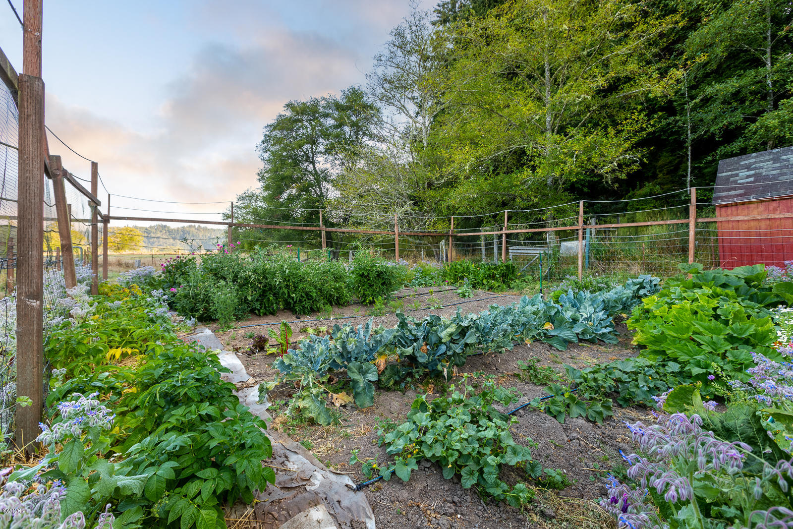 9357 Yaquina Bay Road Newport, OR 97365 - Photo 31 of 47 Fenced vegetable garden