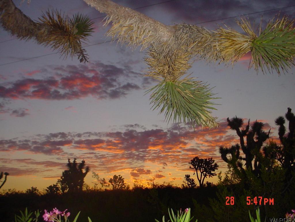 0 Ocotillo Road Dolan Springs, AZ 86441 - Photo 2 of 5 Additional Photo