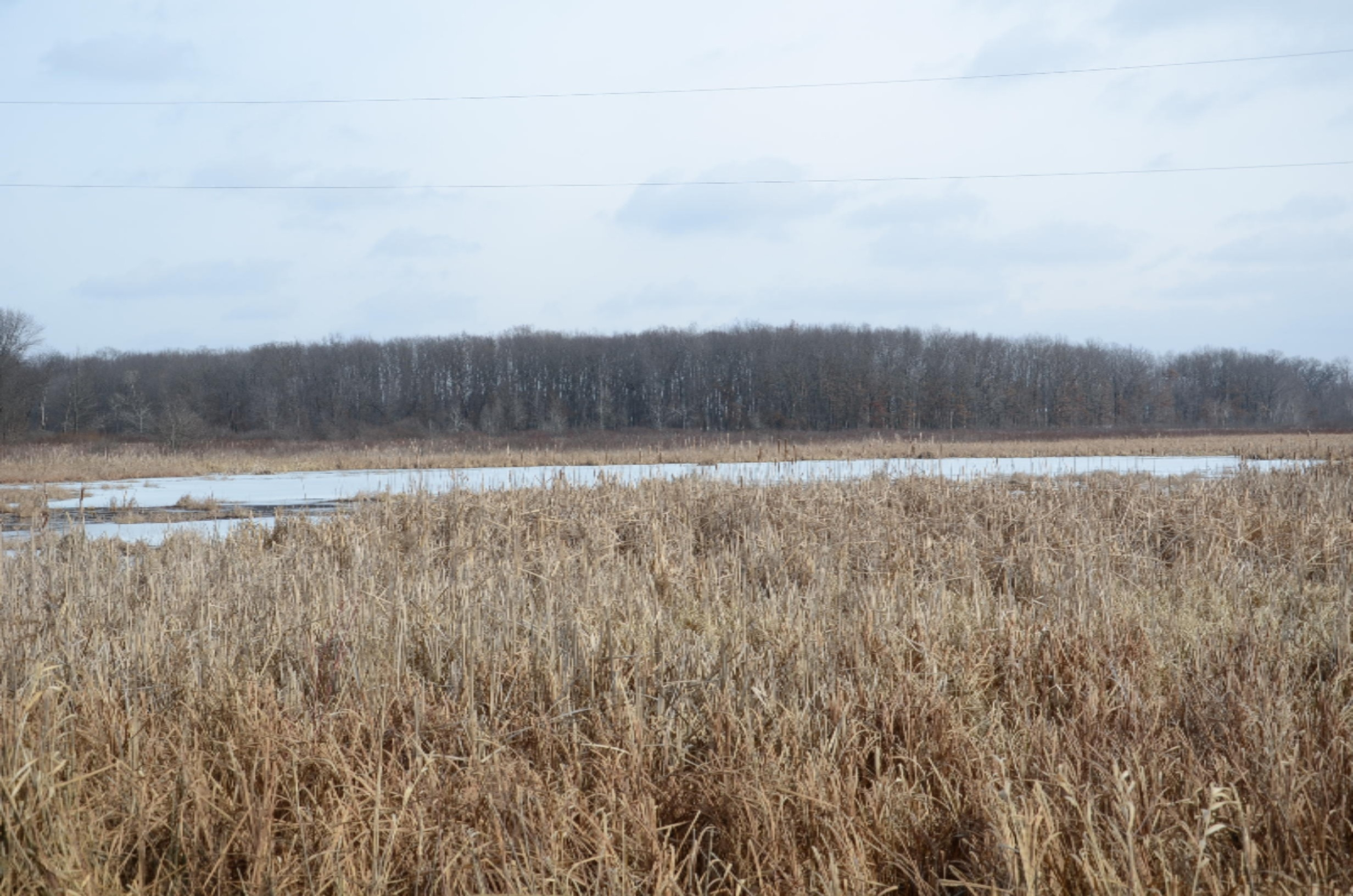 Ludlow Road Albion, MI 49224 - Photo 8 of 13 DSC_3627