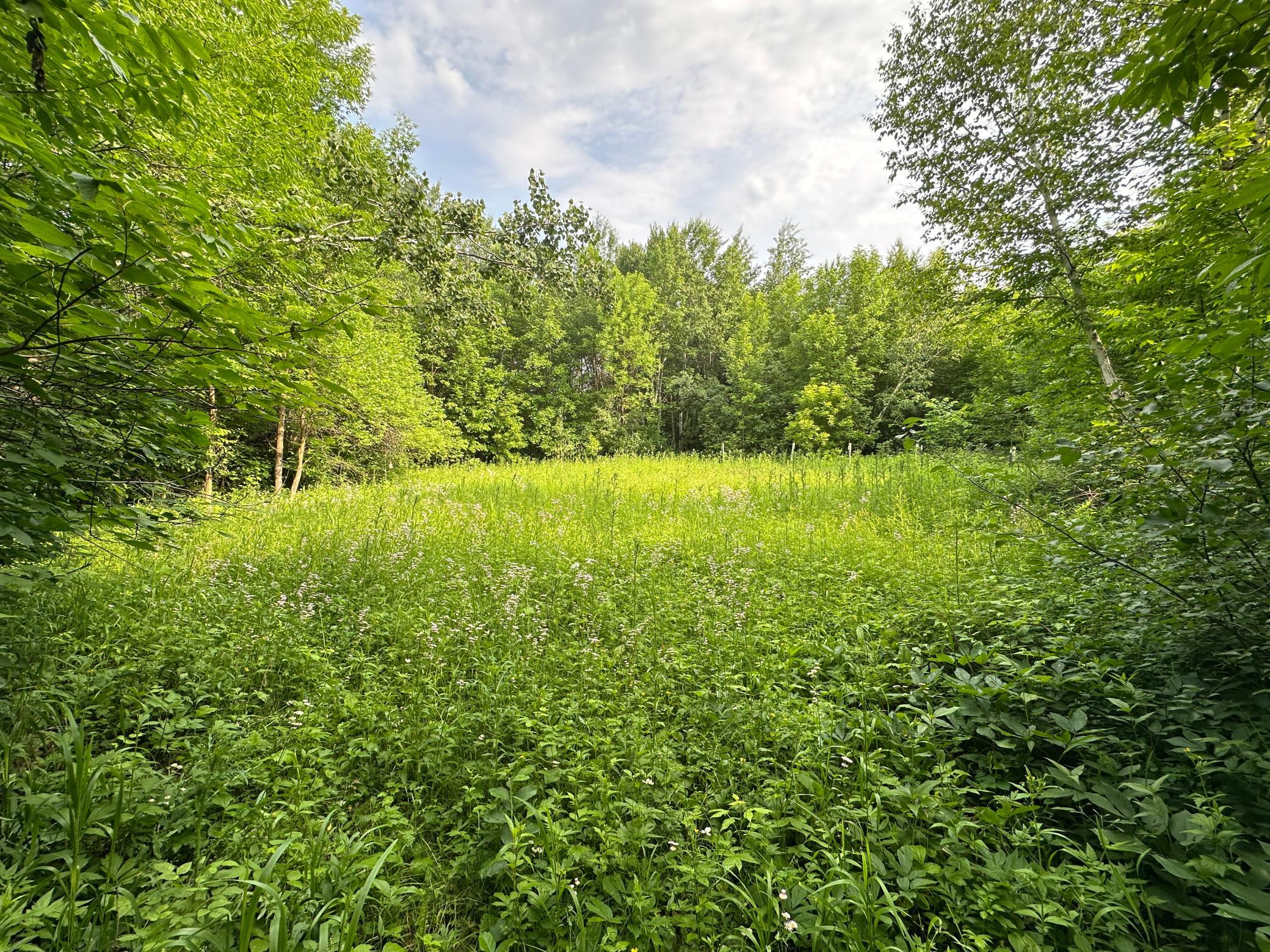 38953 Ada Beach Road Ponsford, MN 56575 - Photo 24 of 94