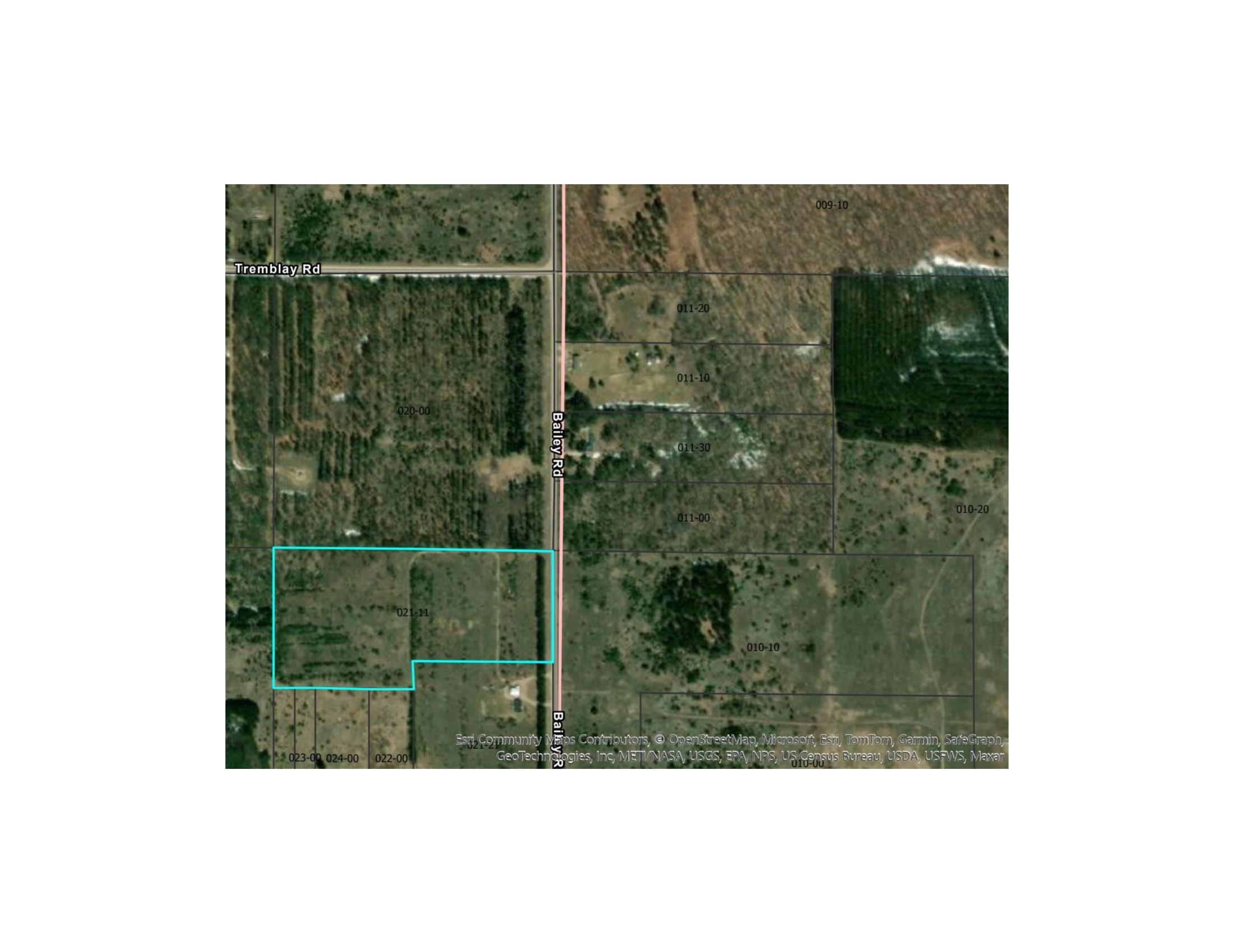 A Bailey Road, Unit LOT: A Mancelona, MI 49659 - Photo 2 of 20