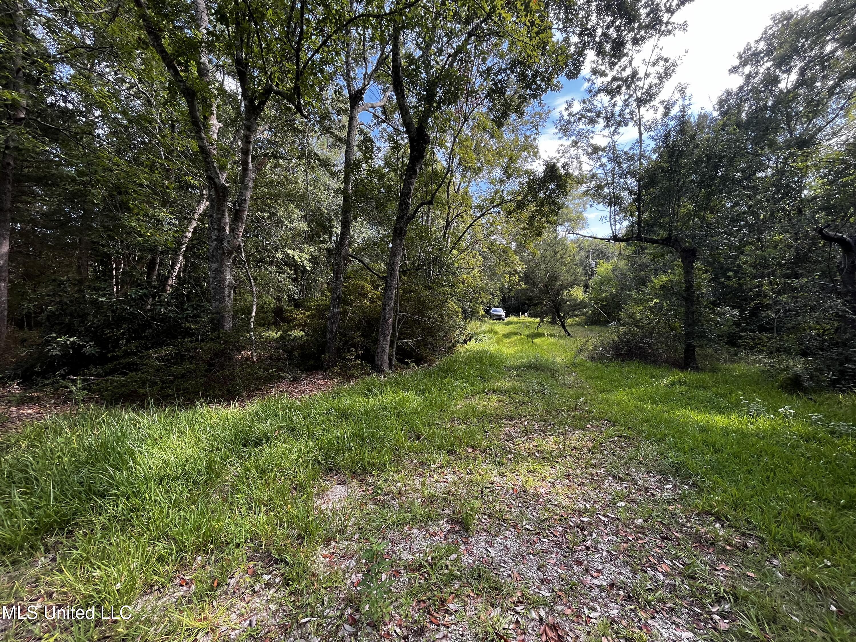 8812 Old CCC Camp Road Ocean Springs, MS 39564 - Photo 21 of 22 IMG-0872