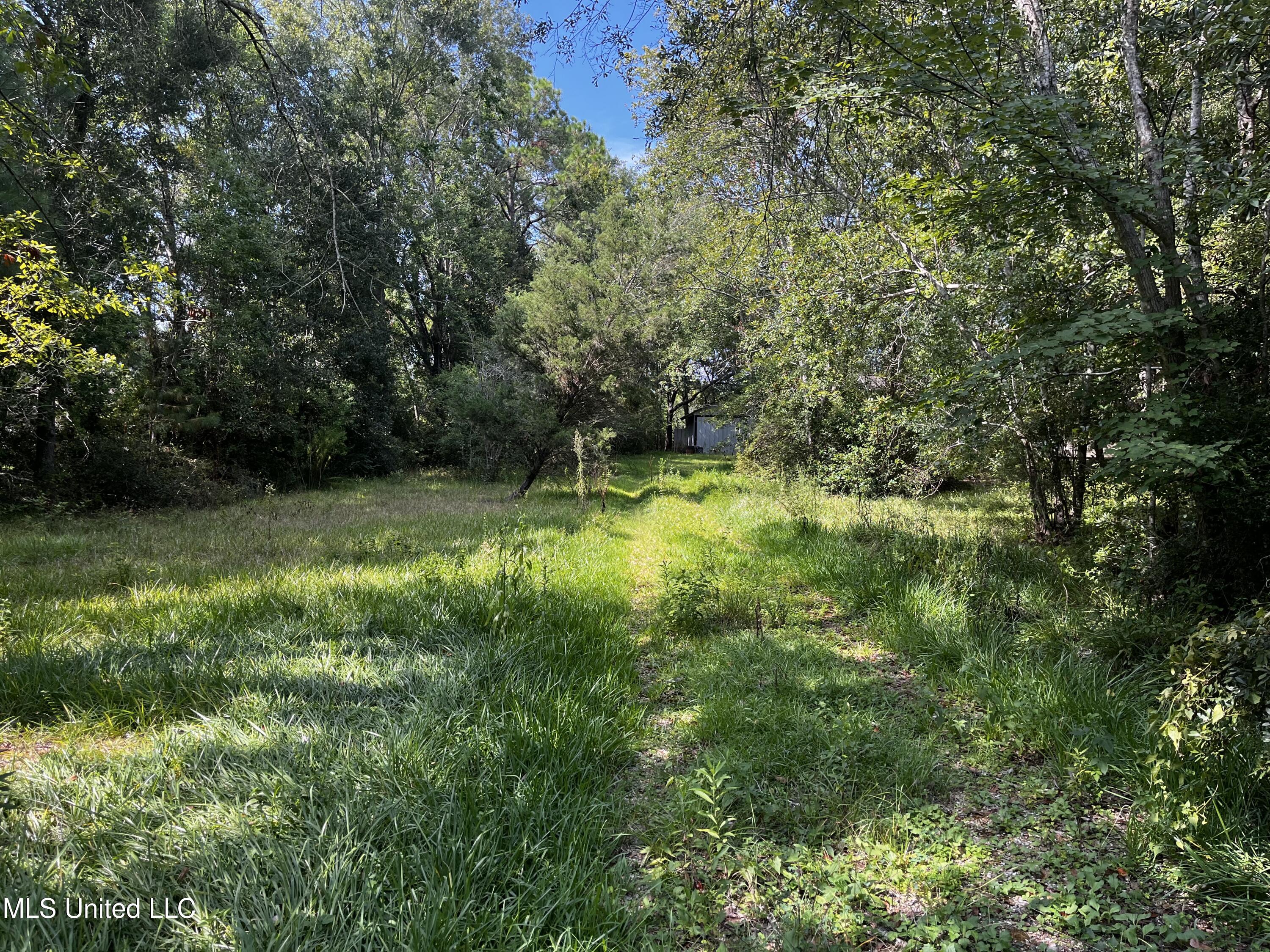 8812 Old CCC Camp Road Ocean Springs, MS 39564 - Photo 22 of 22 IMG-0839
