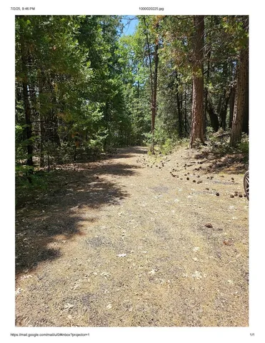 a view of a backyard of the house