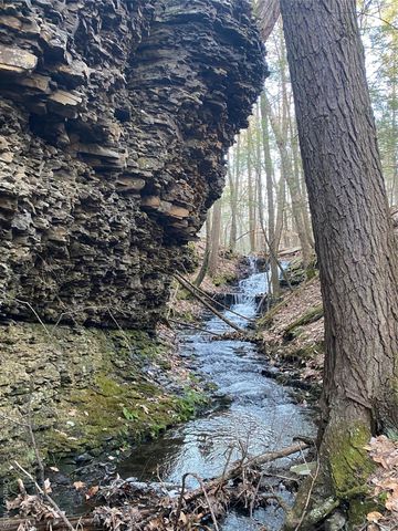 a backyard of a house with a large tree