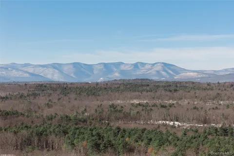 a view of a mountain in the distance