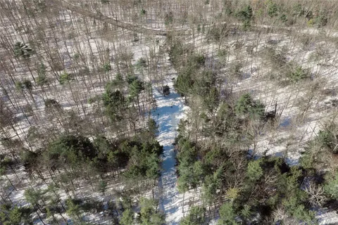 a view of a dry yard