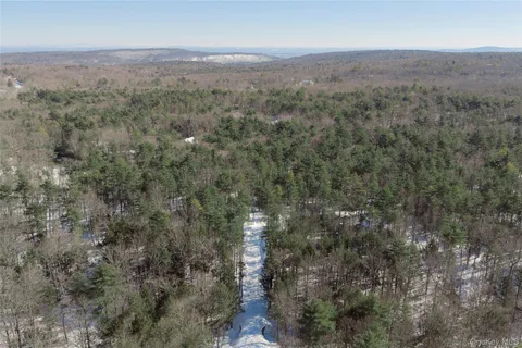 a view of a city with lush green forest