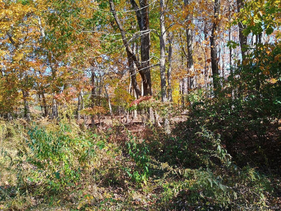 70 Stearns Street Killingly, CT 06239 - Photo 1 of 1 a picture of a tree