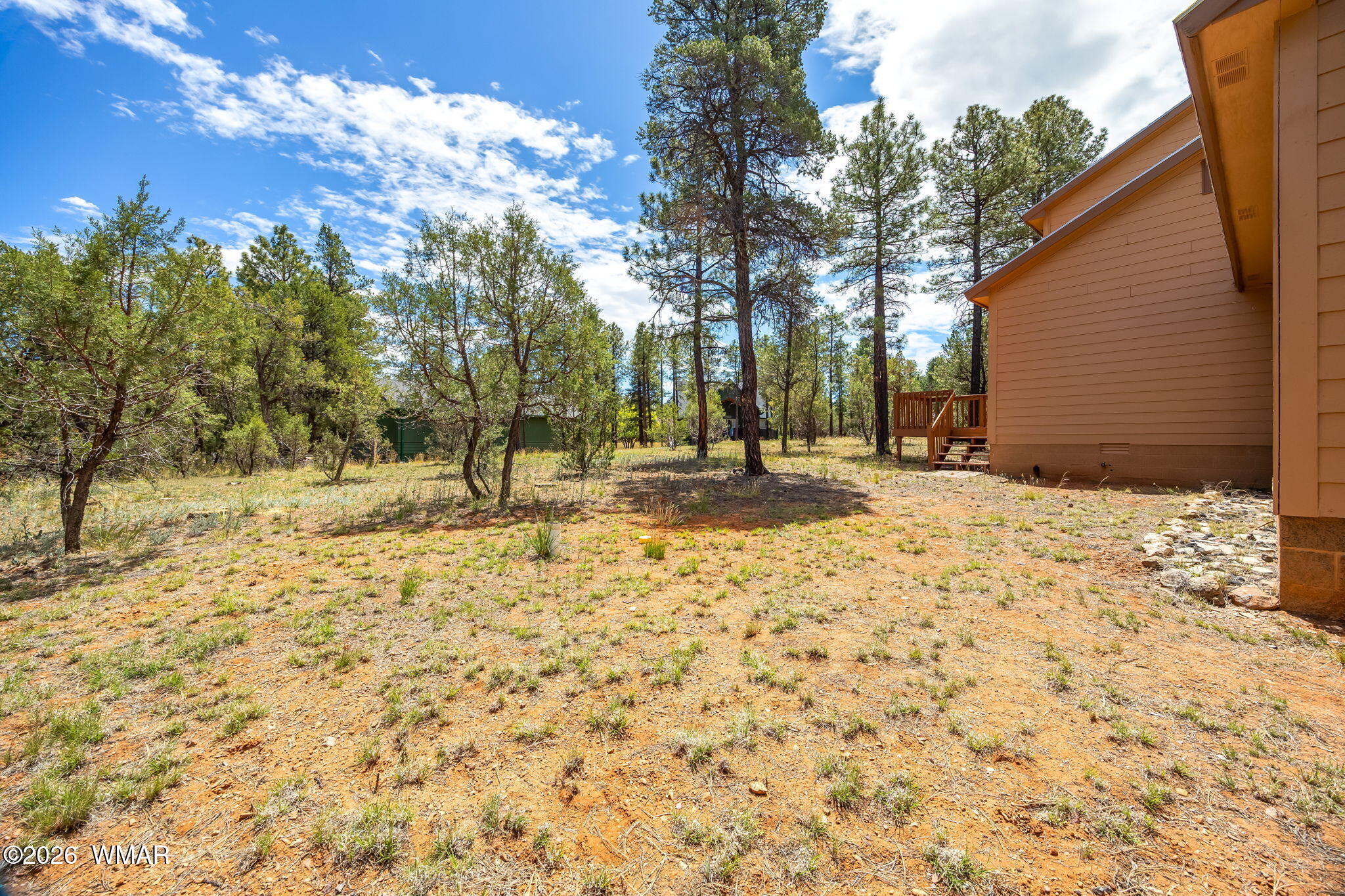 2937 Ransack Road Overgaard, AZ 85933 - Photo 7 of 34 a backyard of a house with trees and snow
