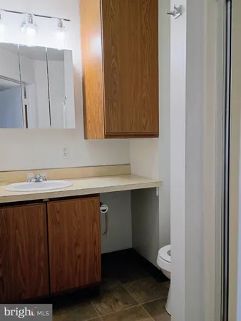 a bathroom with a sink and a toilet