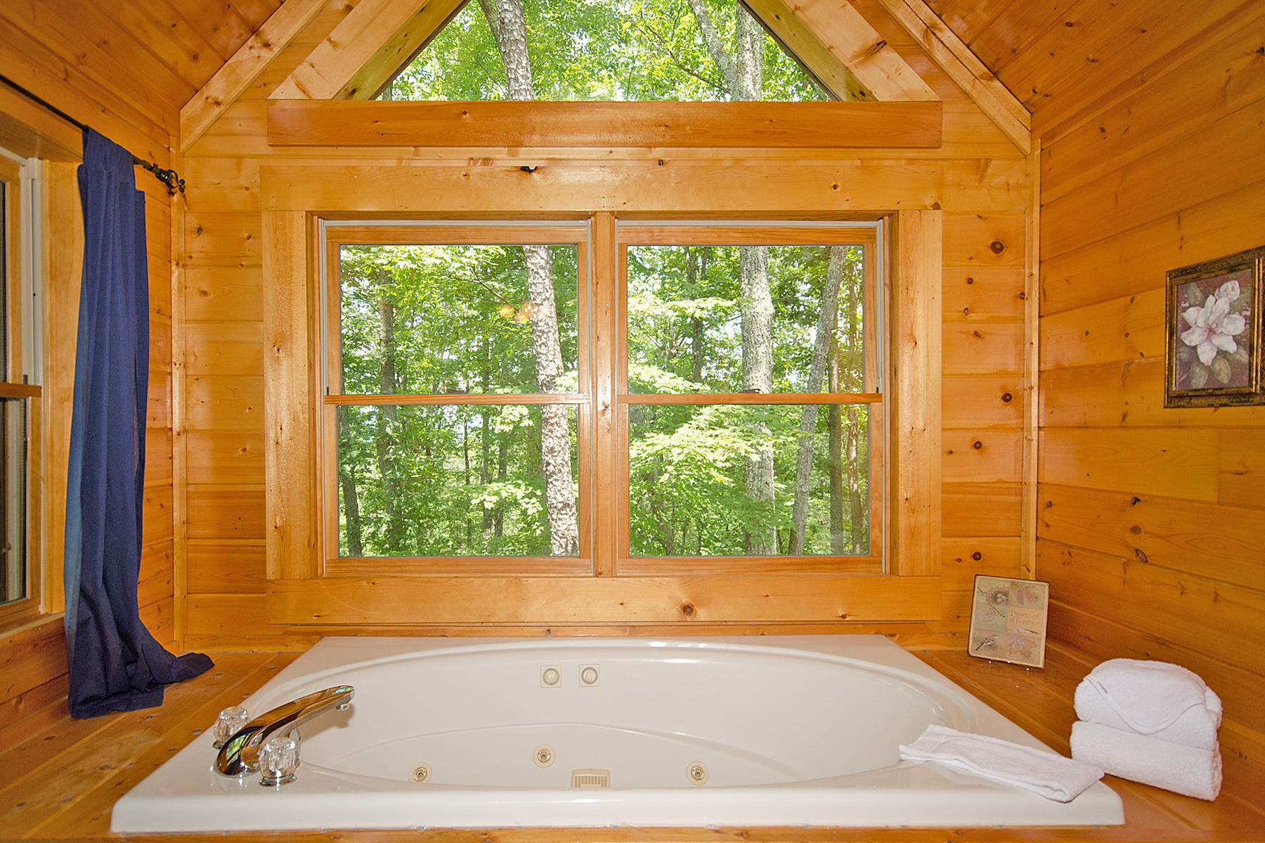2134 Wolf Ridge Way Sevierville, TN 37862 - Photo 27 of 29 br 2c