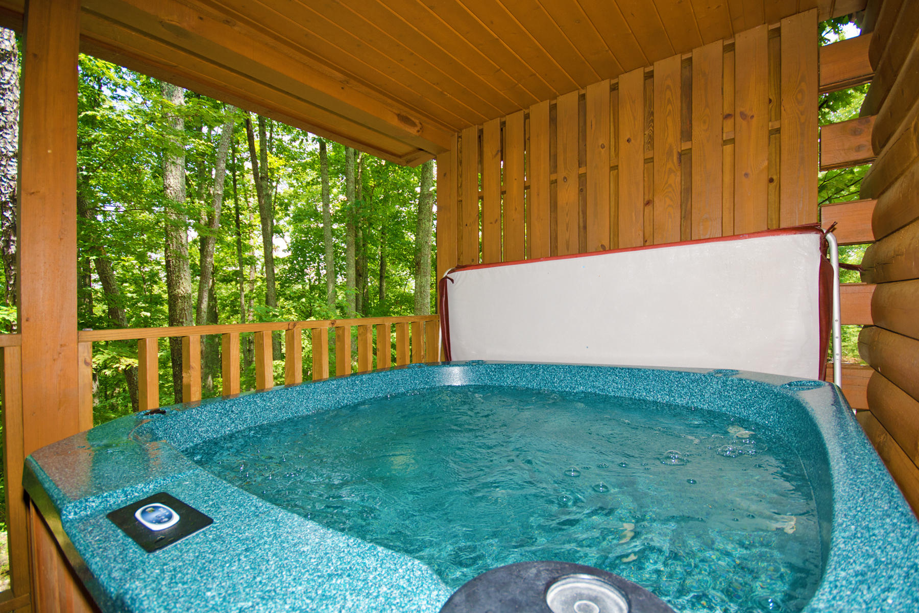 2134 Wolf Ridge Way Sevierville, TN 37862 - Photo 6 of 29 hot tub