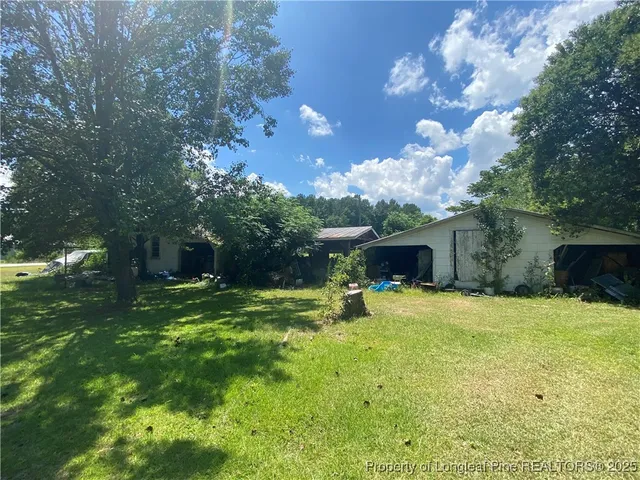 a view of a backyard with plants and large trees
