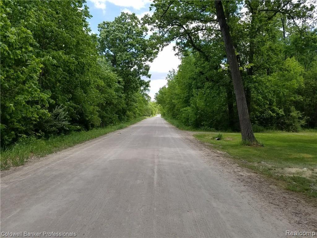 383 Henderson Road Howell, MI 48855 - Photo 17 of 41 2017-05-31 13.21