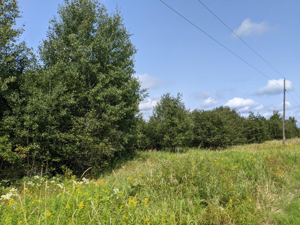 W10589 White Birch Road Kennan, WI 54537 - Photo 13 of 25 Gallery Image 13
