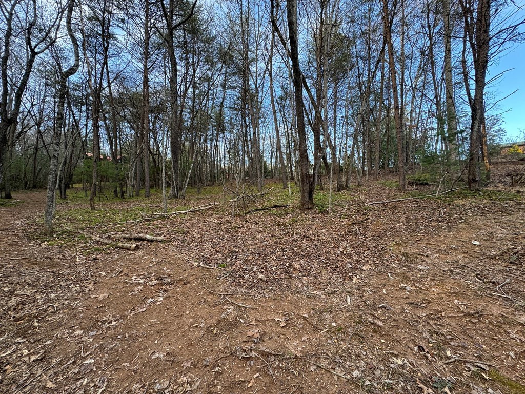 Lot 23 Blackgum Subdivision Blue Ridge Blue Ridge, GA 30513 - Photo 4 of 26