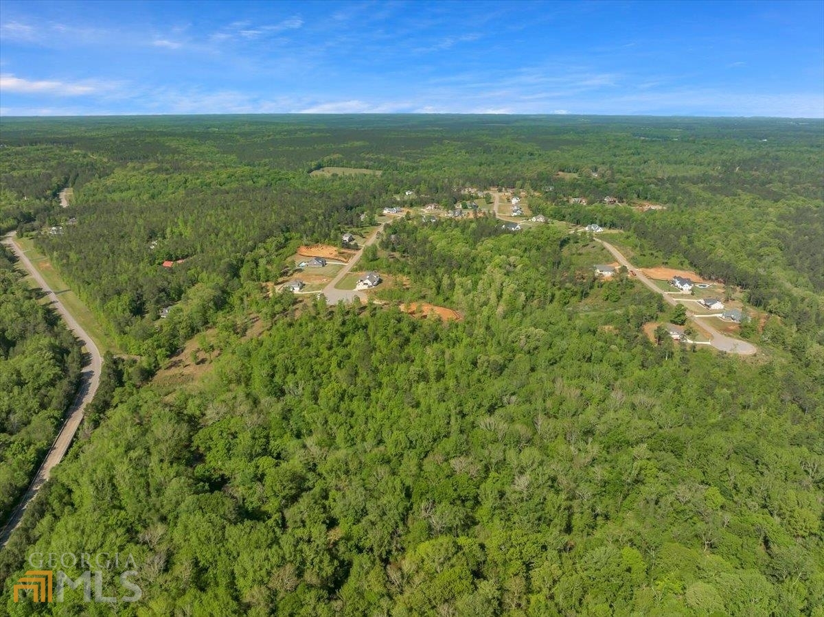 Lot 15-a-2 Creekside Lane Forsyth, GA 31029 - Photo 7 of 12 a view of a field with an ocean