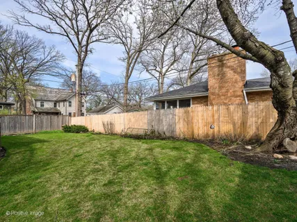 a view of a backyard with a large tree