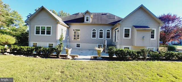 a view of a yard with plants and trees
