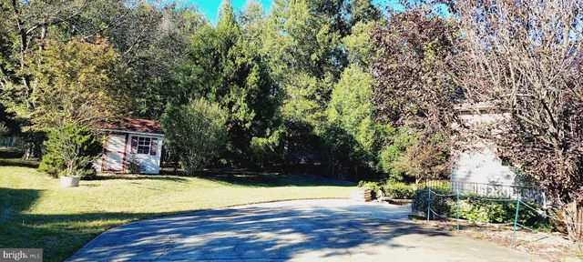 a view of a yard with a tree