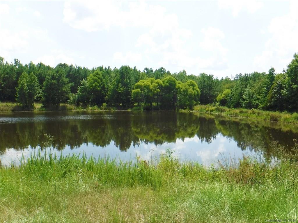 32 Mt Olive Church Road Blackstock, SC 29014 - Photo 22 of 23 Gallery Image 22