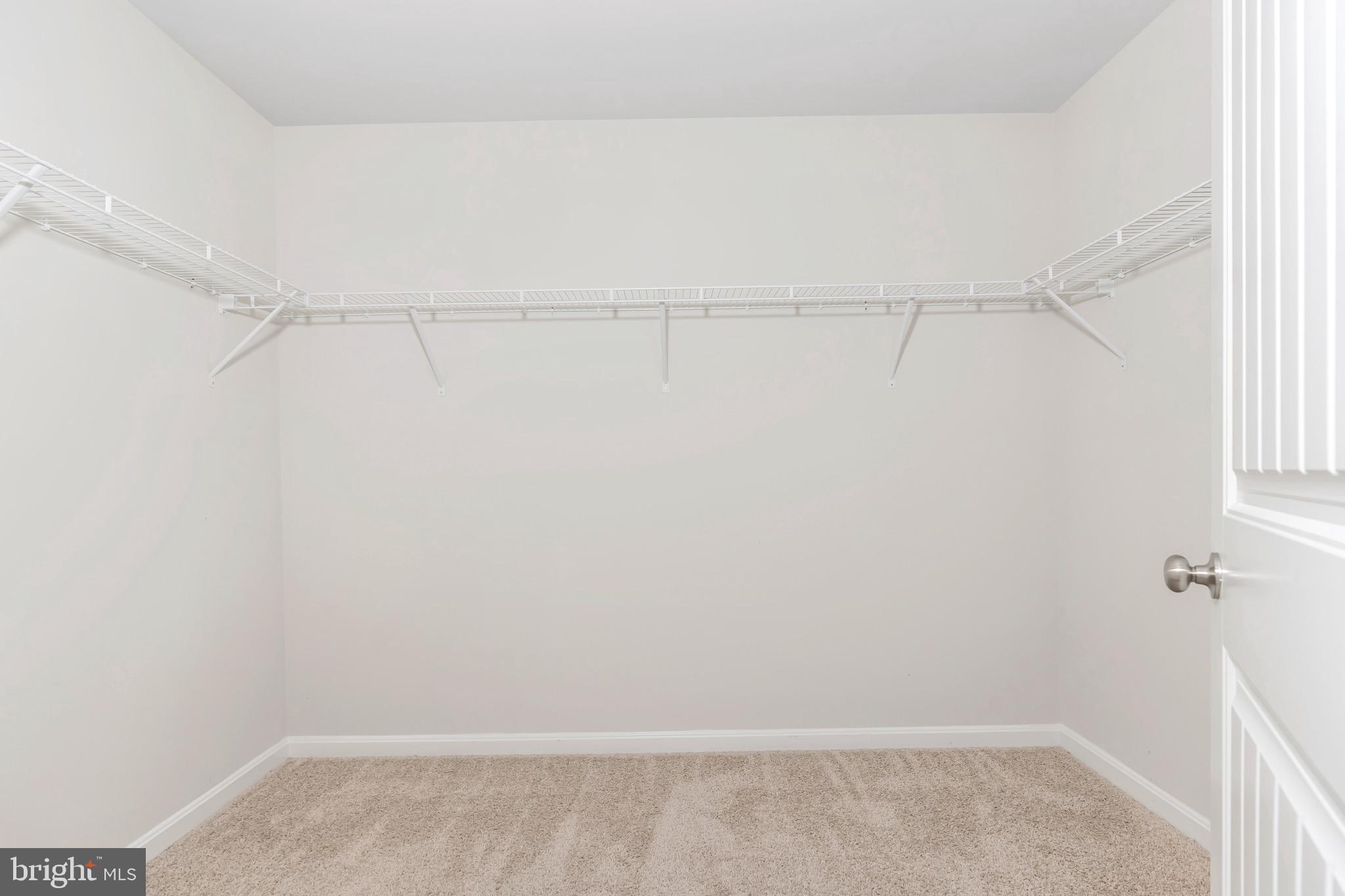893 Red Maple Road Smyrna, DE 19977 - Photo 25 of 52 primary closet