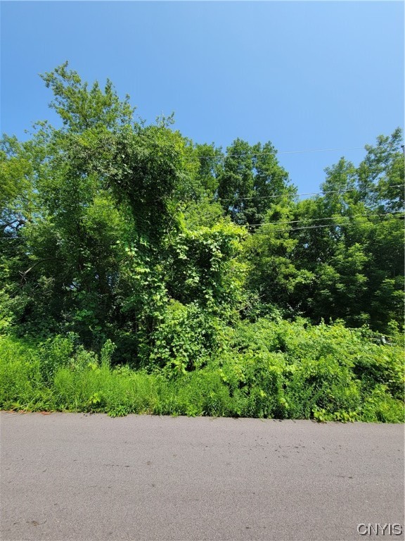 Lot # Perry Road Jordan, NY 13080 - Photo 6 of 6
