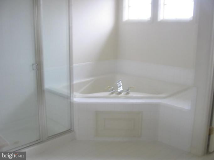 2511 Sapling Ridge Lane Brookeville, MD 20833 - Photo 11 of 12 Master Bath