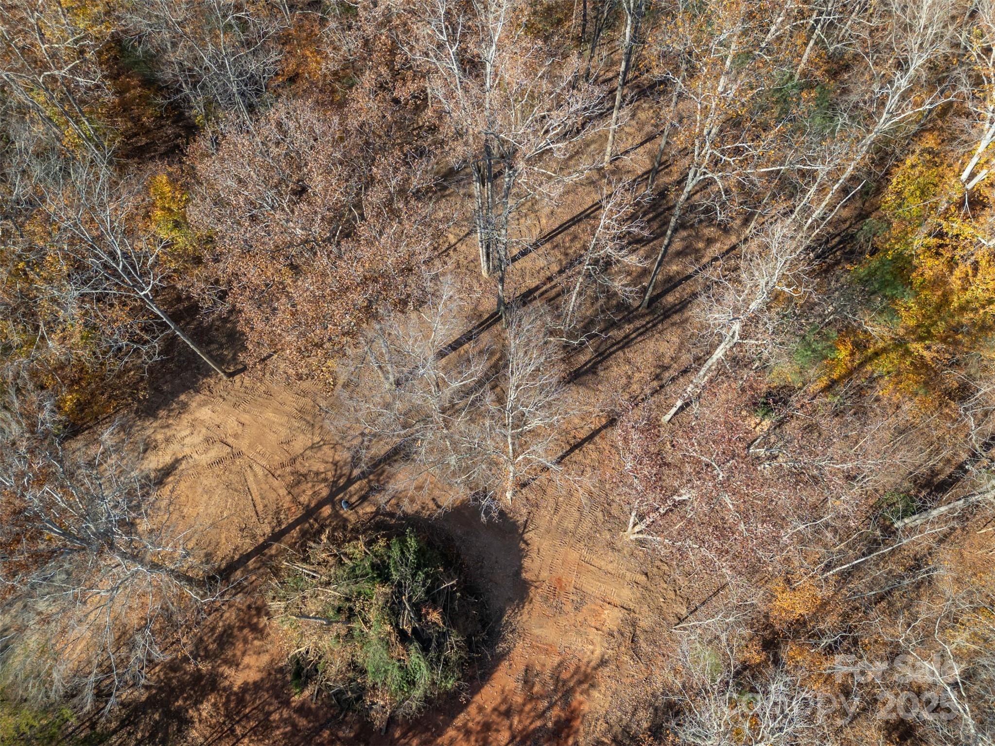 145 Stroud Mountain Trail, Unit 85 Rutherfordton, NC 28139 - Photo 11 of 18