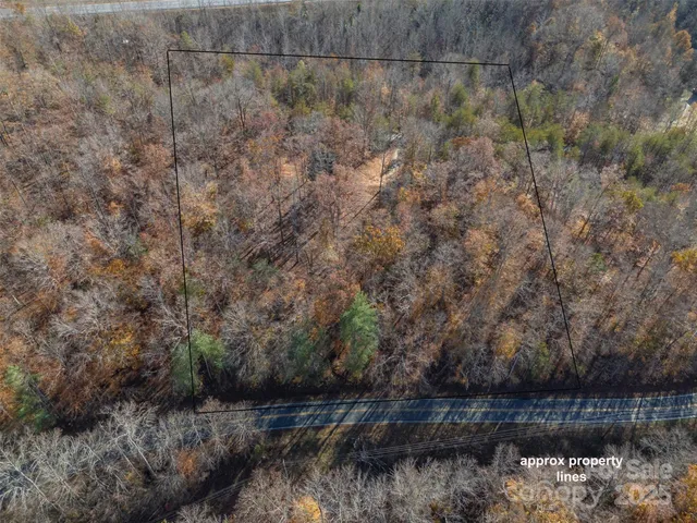 a view of a dry yard