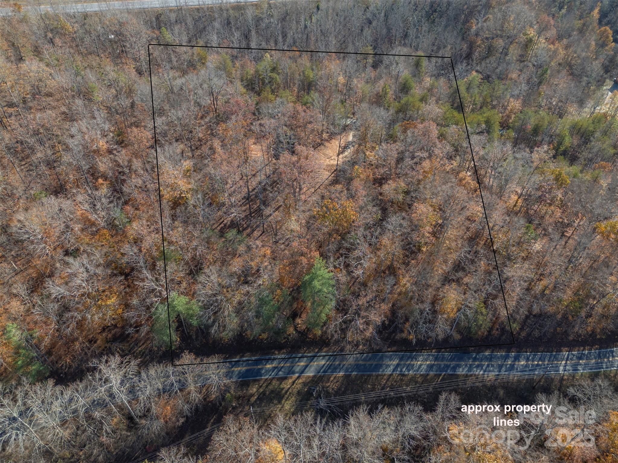 145 Stroud Mountain Trail, Unit 85 Rutherfordton, NC 28139 - Photo 12 of 18 a view of a lake with a forest