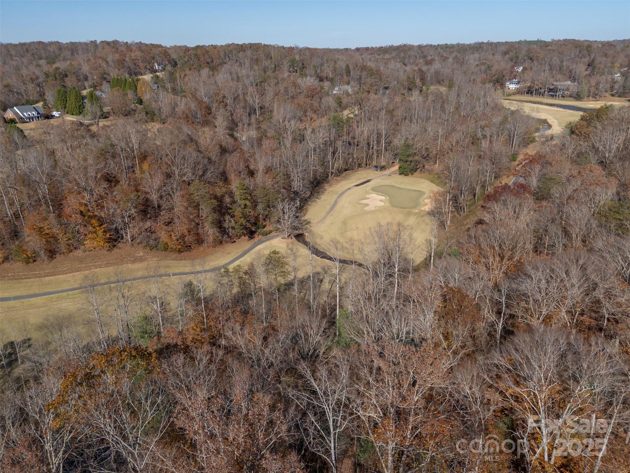145 Stroud Mountain Trail, Unit 85 Rutherfordton, NC 28139 - Photo 13 of 18 a view of a dry yard