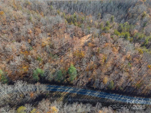 a view of lot of trees