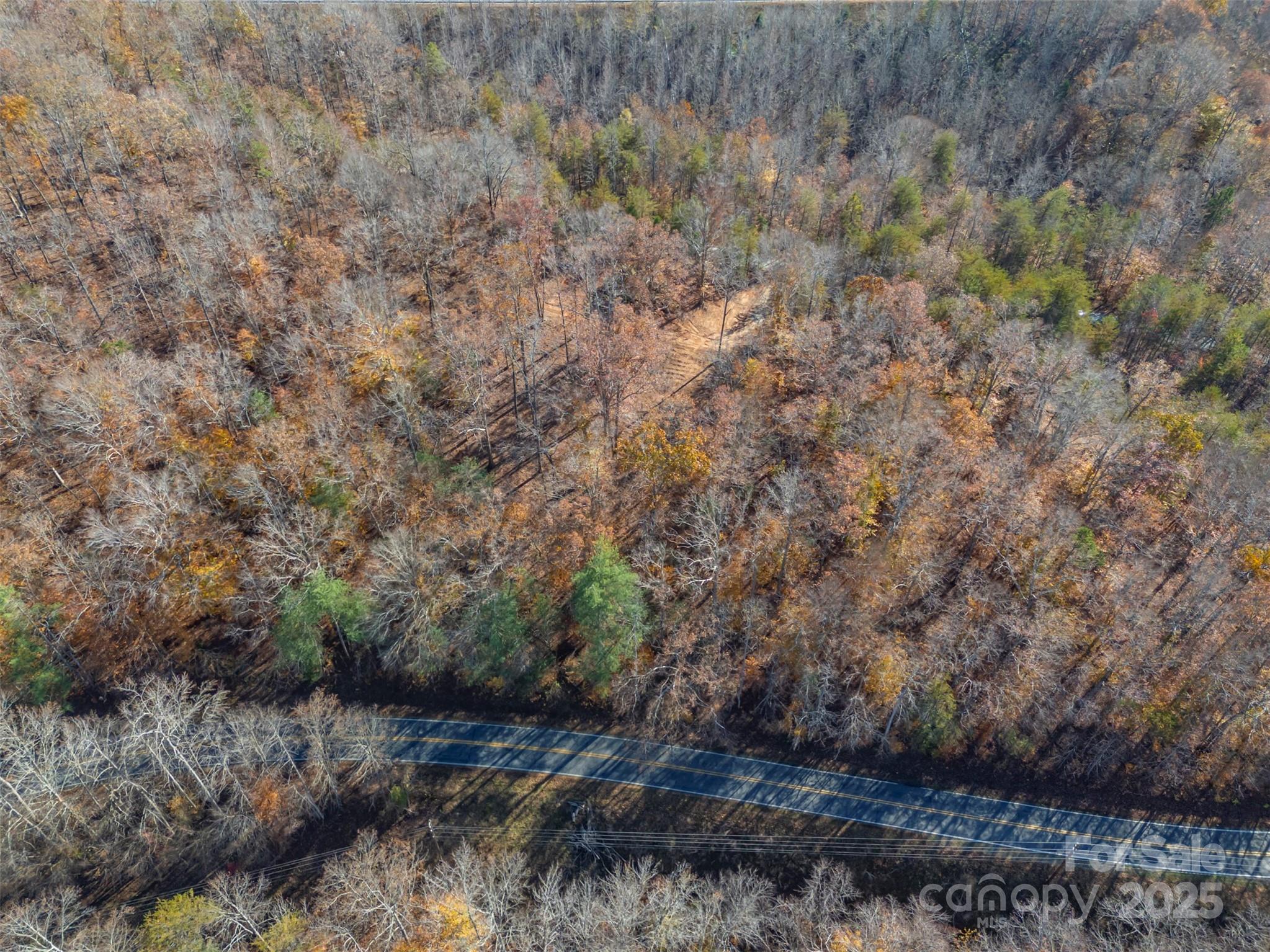 145 Stroud Mountain Trail, Unit 85 Rutherfordton, NC 28139 - Photo 14 of 18 a view of a dry field