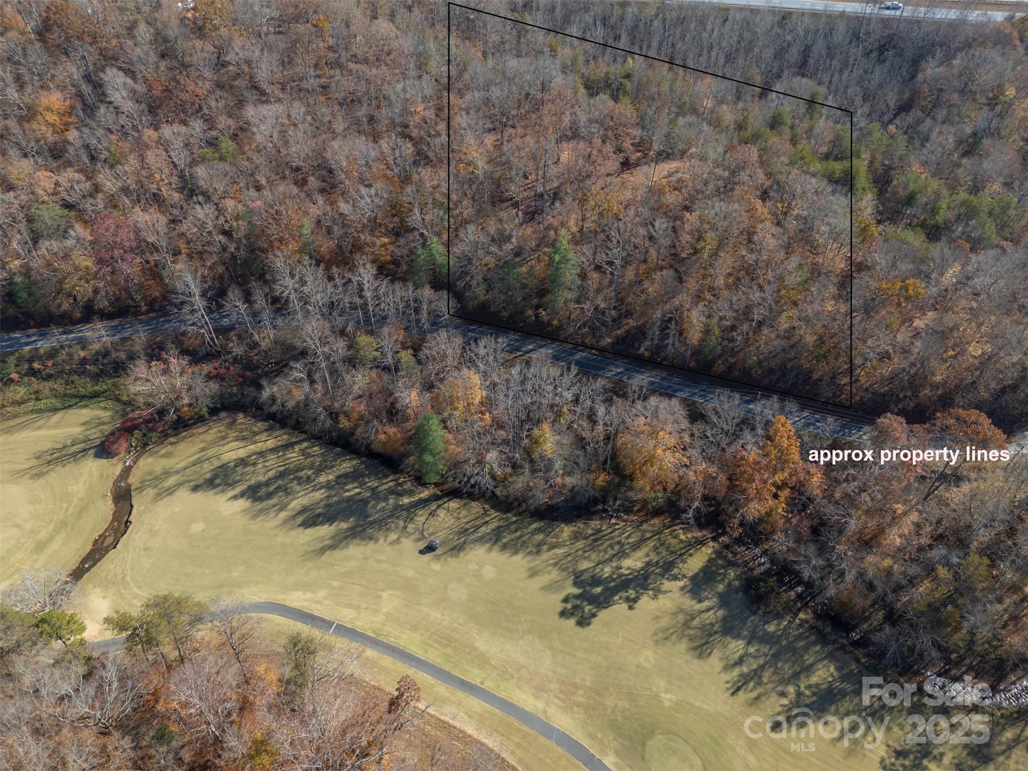 145 Stroud Mountain Trail, Unit 85 Rutherfordton, NC 28139 - Photo 15 of 18 a view of lot of trees