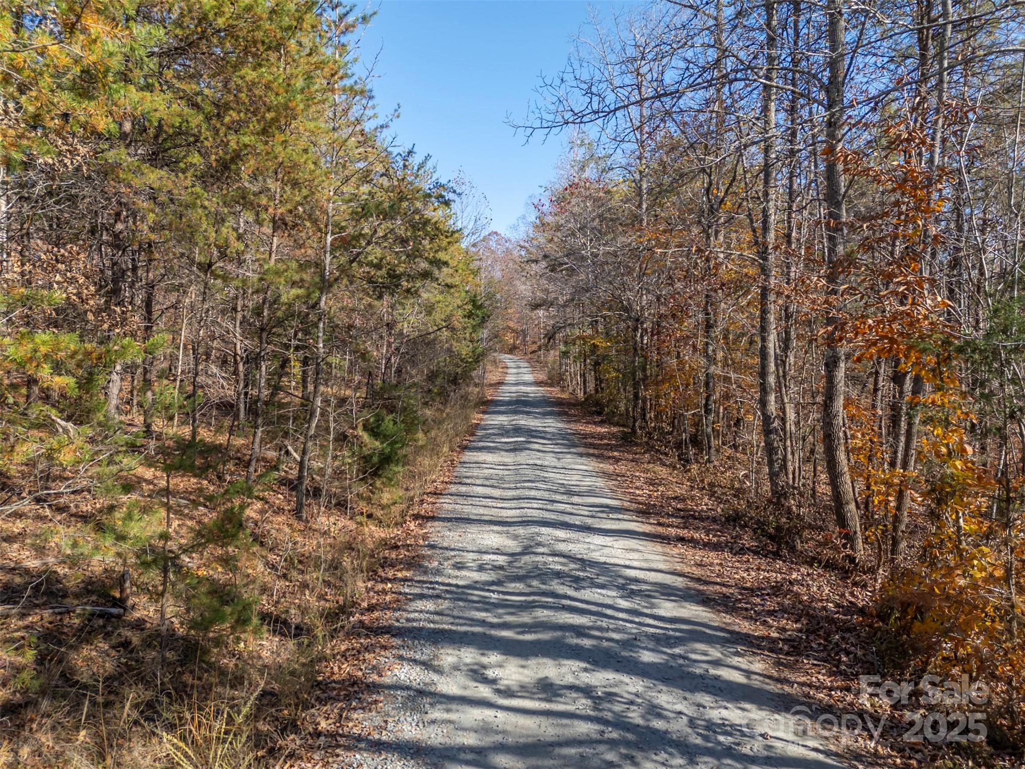 145 Stroud Mountain Trail, Unit 85 Rutherfordton, NC 28139 - Photo 18 of 18 a view of a pathway of a building