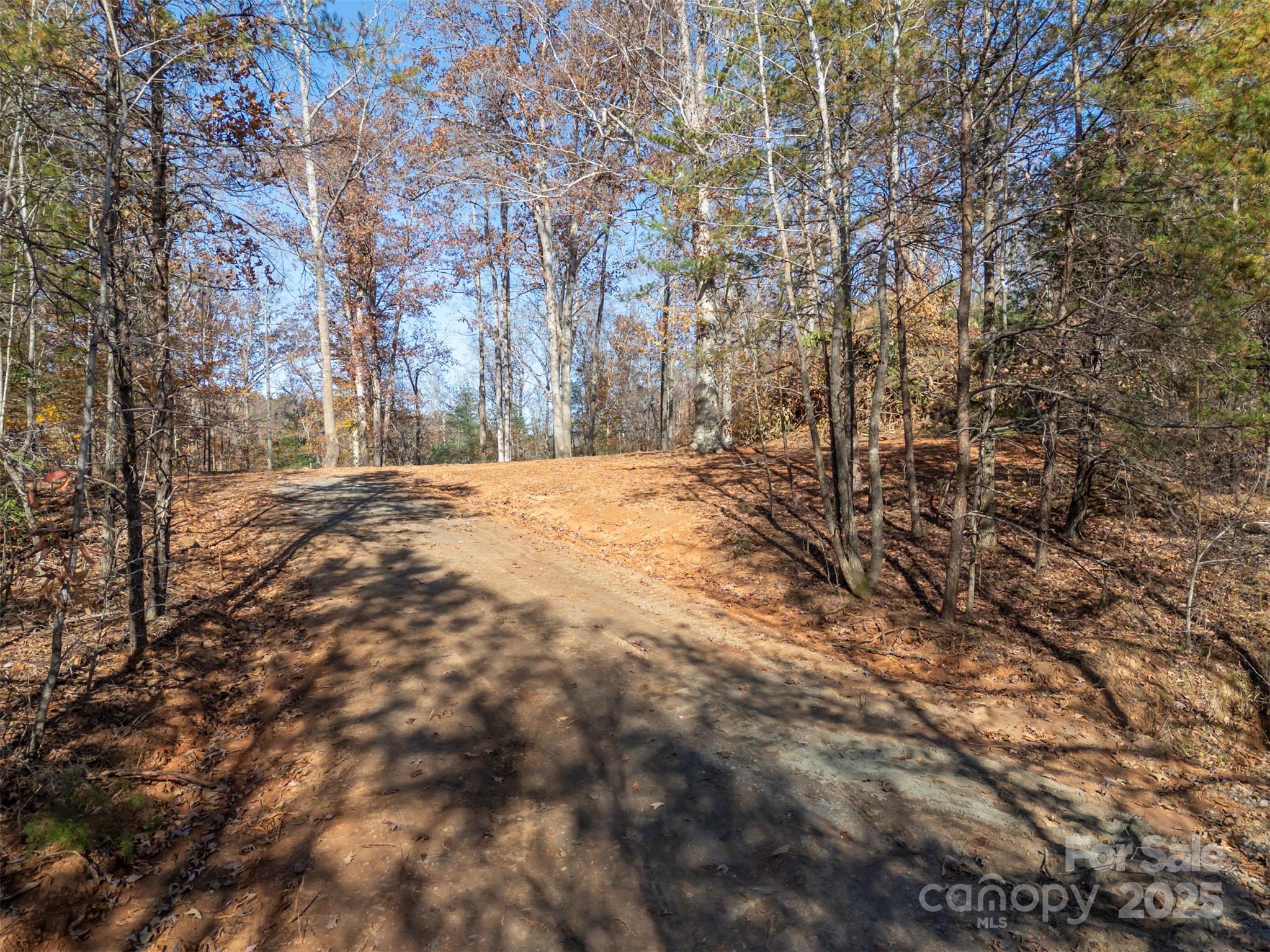 145 Stroud Mountain Trail, Unit 85 Rutherfordton, NC 28139 - Photo 2 of 18 a view of empty yard with trees