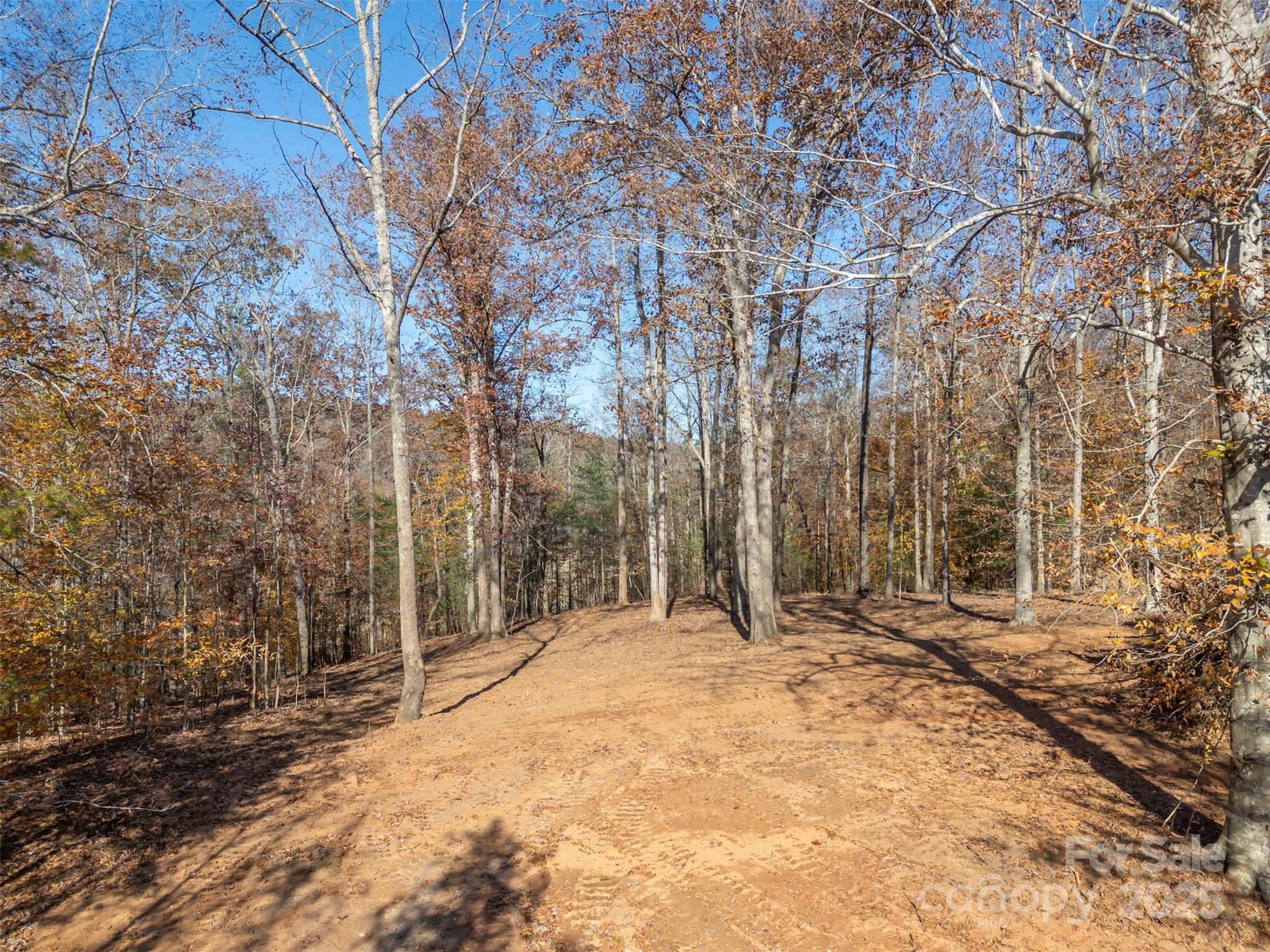 145 Stroud Mountain Trail, Unit 85 Rutherfordton, NC 28139 - Photo 3 of 18 a view of outdoor space with trees