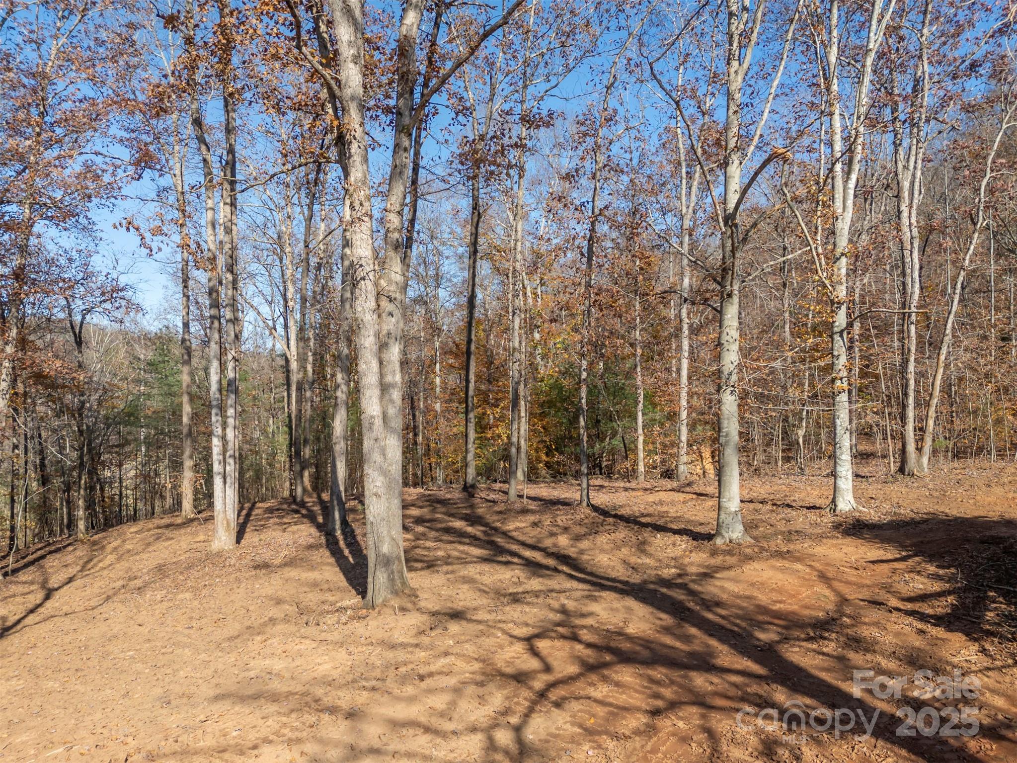 145 Stroud Mountain Trail, Unit 85 Rutherfordton, NC 28139 - Photo 4 of 18 a backyard of a house with lots of green space