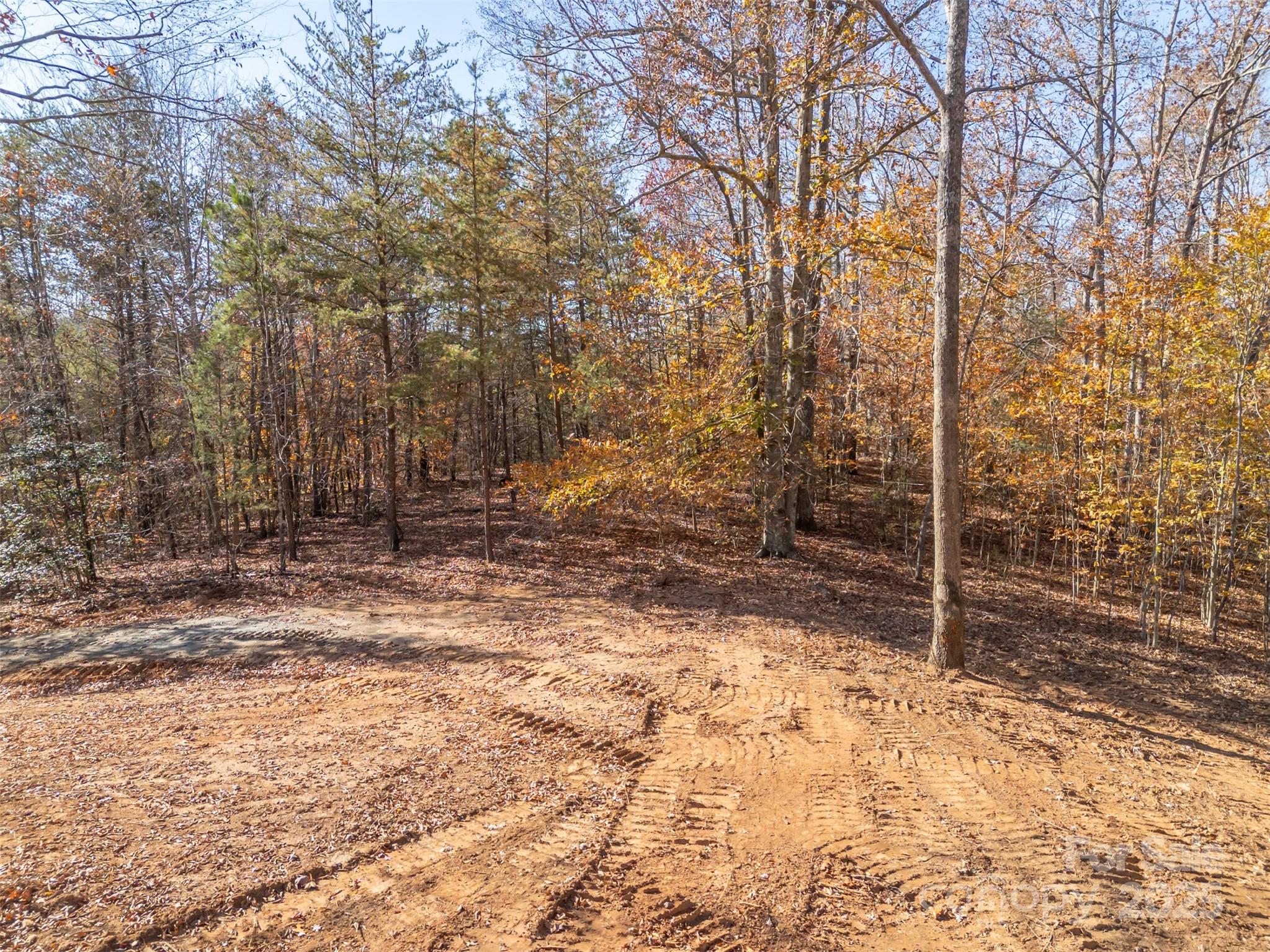 145 Stroud Mountain Trail, Unit 85 Rutherfordton, NC 28139 - Photo 7 of 18 a backyard of a house with lots of green space