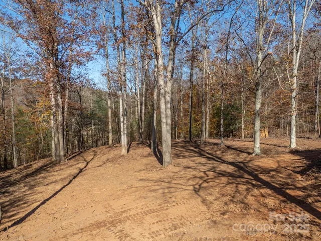 a view of backyard with large trees