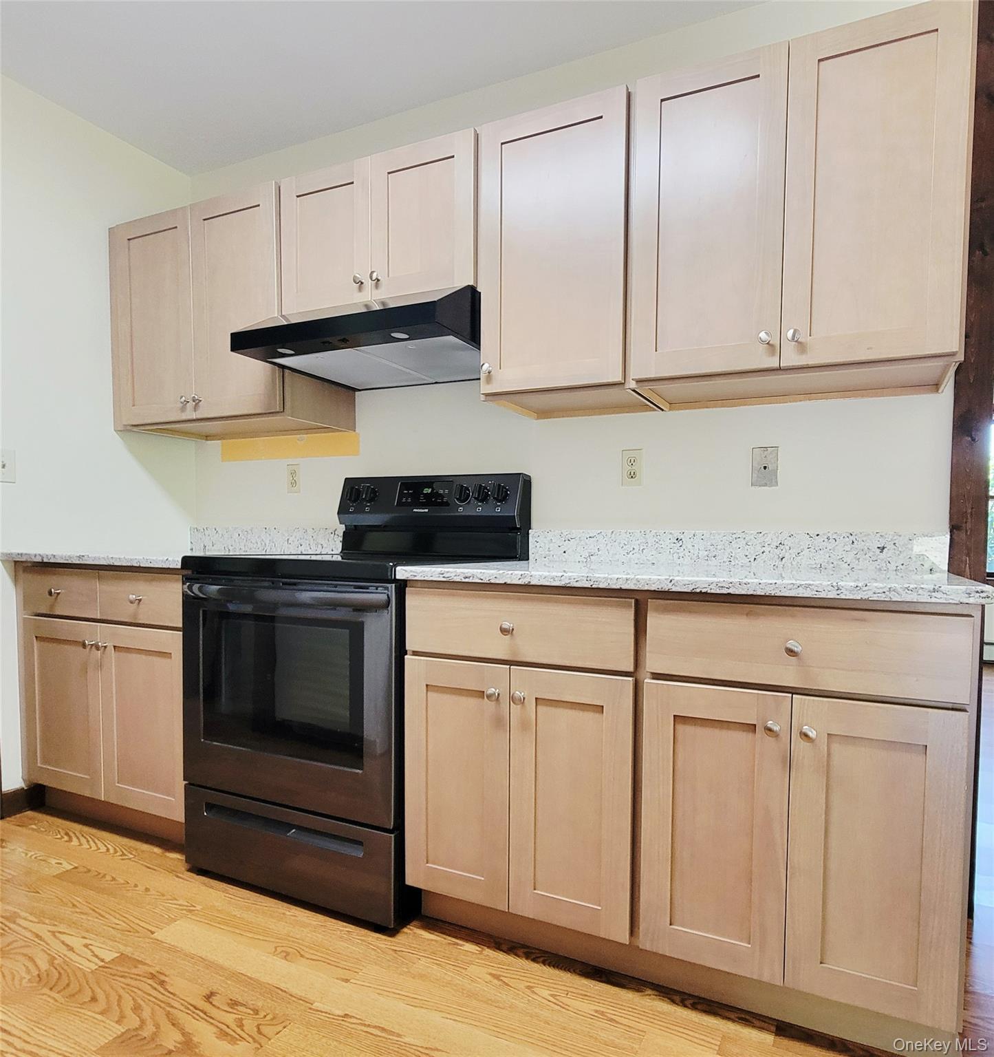94 Plains Road, Unit LEFT SIDE Walden, NY 12586 - Photo 11 of 22