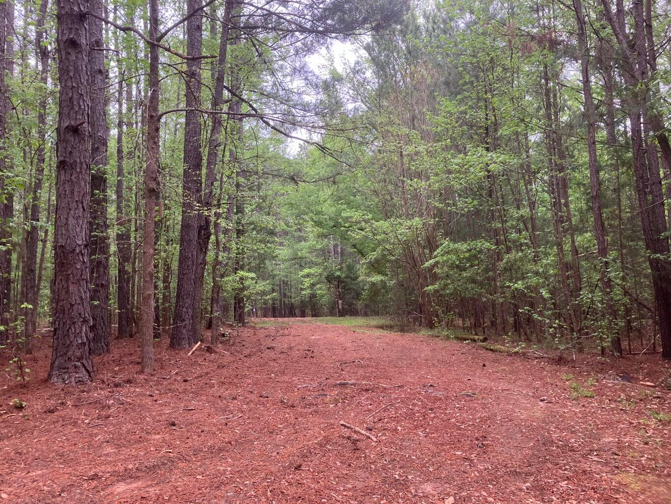 0 Gales Road Appling, GA 30802 - Photo 5 of 9 20240410161147672089000000-o