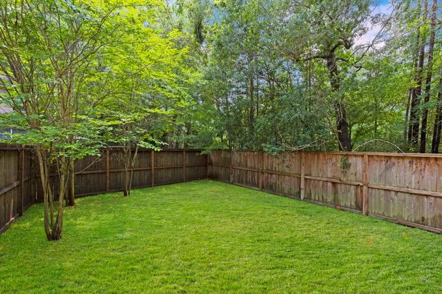 a view of a backyard with large trees and wooden fence