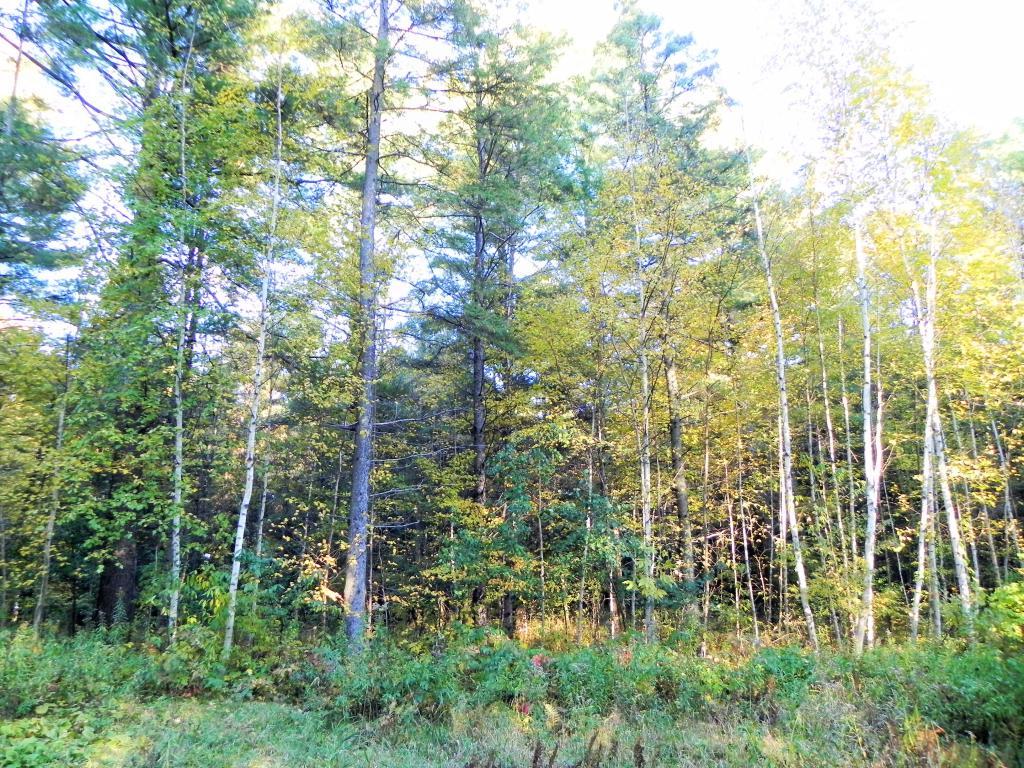 Lot 3 Jenssen Road Frederic, WI 54837 - Photo 1 of 1